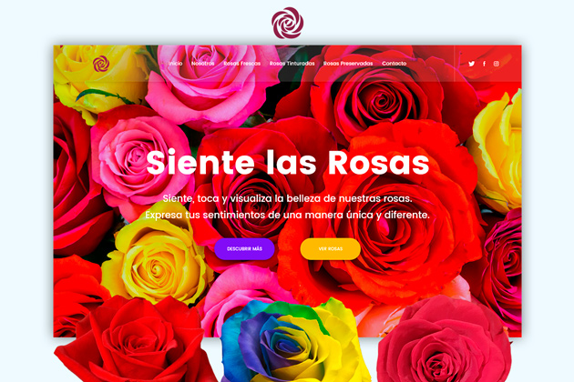 luz of roses